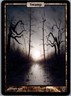 Swamp Full Art Unhinged MTG Card Regular