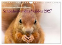 "Calendar 2027 · US Version · Beauties Of The Forest (Wall Calendar 2027 12\" × 8\""
