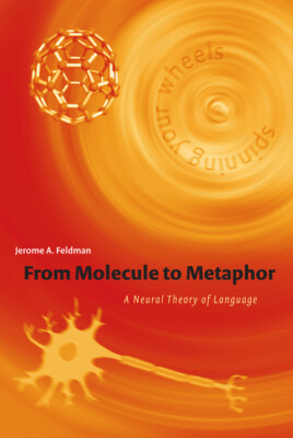 From Molecule To Metaphor: A Neural Theory Of Language