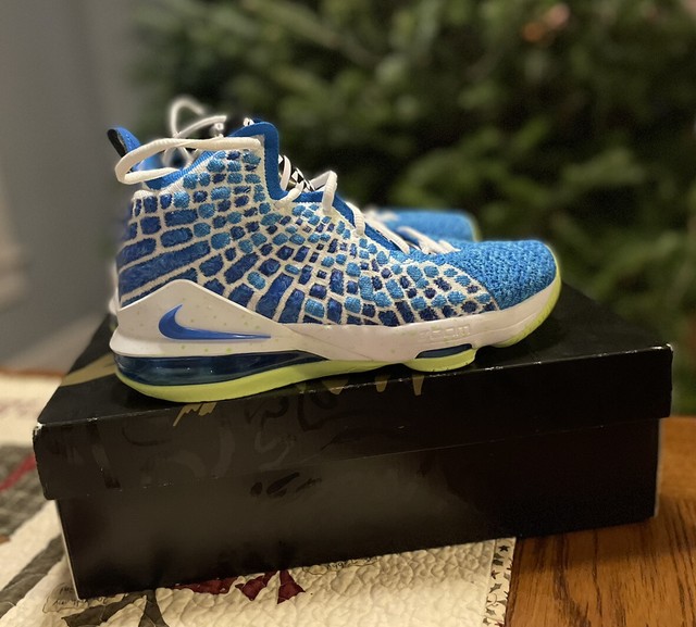 blue lebron 17s