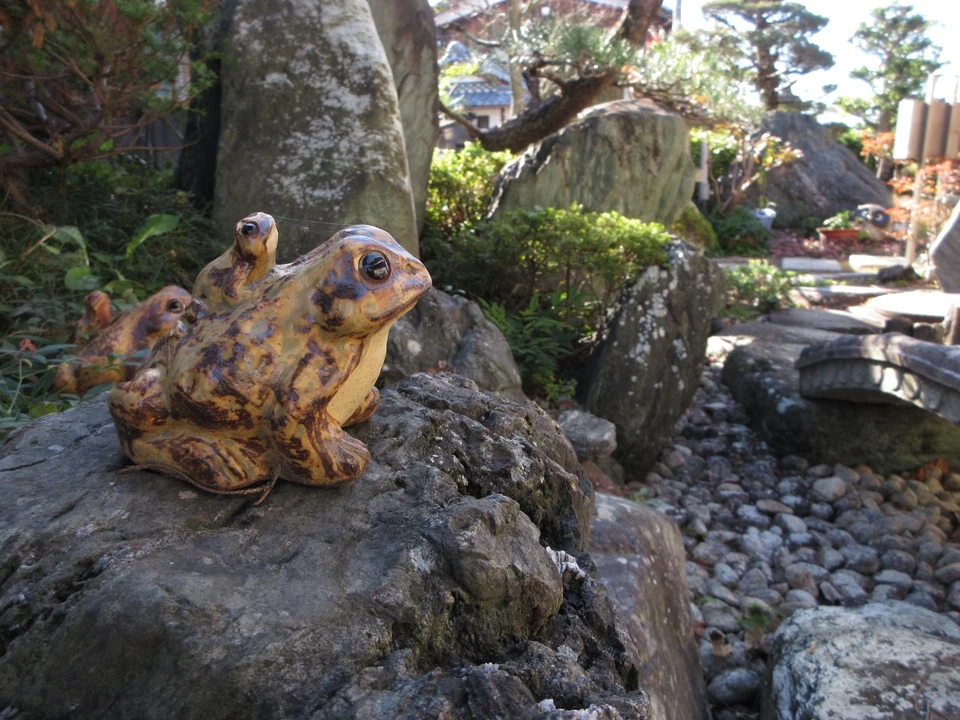 [ MINT ] Canon PowerShot IXY 650 / Elph 360 HS Compact Digital Camera English OK - Image 2 of 4