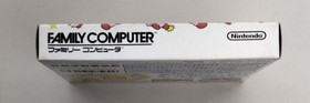 Nintendo Dream Fountain Story Kirby of the Stars Famicom
