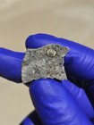 Taoussat-n-Amouzzour 001 L3.2 Meteorite 2.319g Large Chondrule Dual Lithology — photo 4