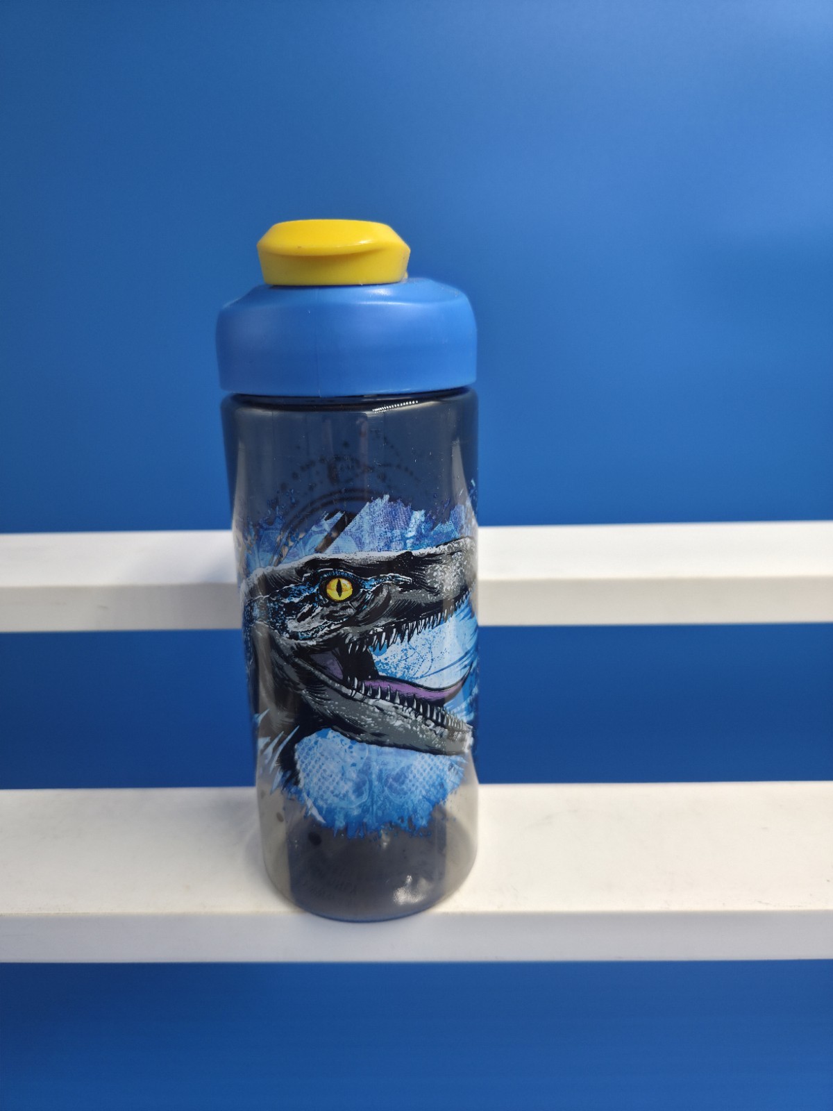 Jurassic World Water Bottle Plastic Kids