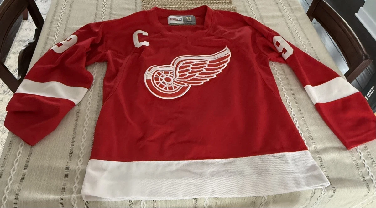 Sergei Fedorov #91 A Detroit Red Wings Adidas Road Primegreen Authentic Jersey b