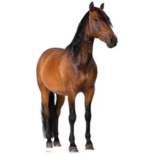 HORSE Lifesize CARDBOARD CUTOUT Standee Standup Poster Chestnut Animal FREE SHIP