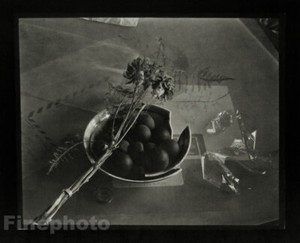 Josef Sudek-Still Lifes | eBay