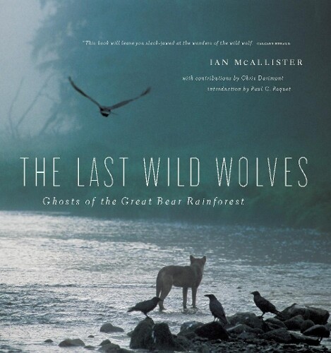 Ian McAllister The Last Wild Wolves (Tascabile)