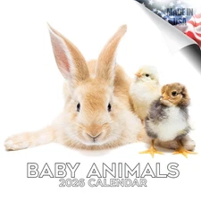 Baby Animals Calendar 2026 FULL SIZE 12x24 Made in USA