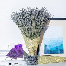 Dried Lavender Bundles Natural Dried Lavender Flowers 200 Stems Home Fragra...