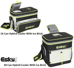 esky 16 can hybrid cooler with ice brick