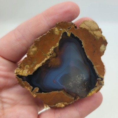 2'' Oregon Thunder Egg Half Blue Gray Agate Polished Lapidary Display Specimen