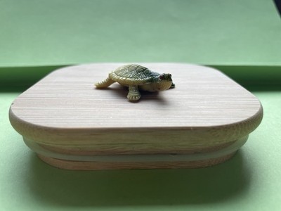 Uei Schildkröte Mega Rar
