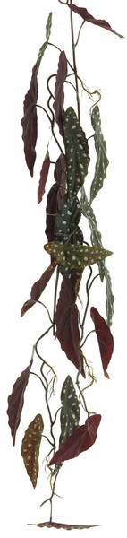 Artplants KüNstliche Girlande Forellenbegonie Zihena, GrüN-Weiß, 105 Cm-image