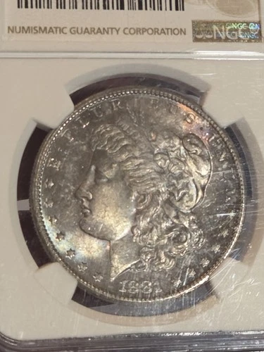 1881 S $1 Morgan Dollar NGC MS65 Toned