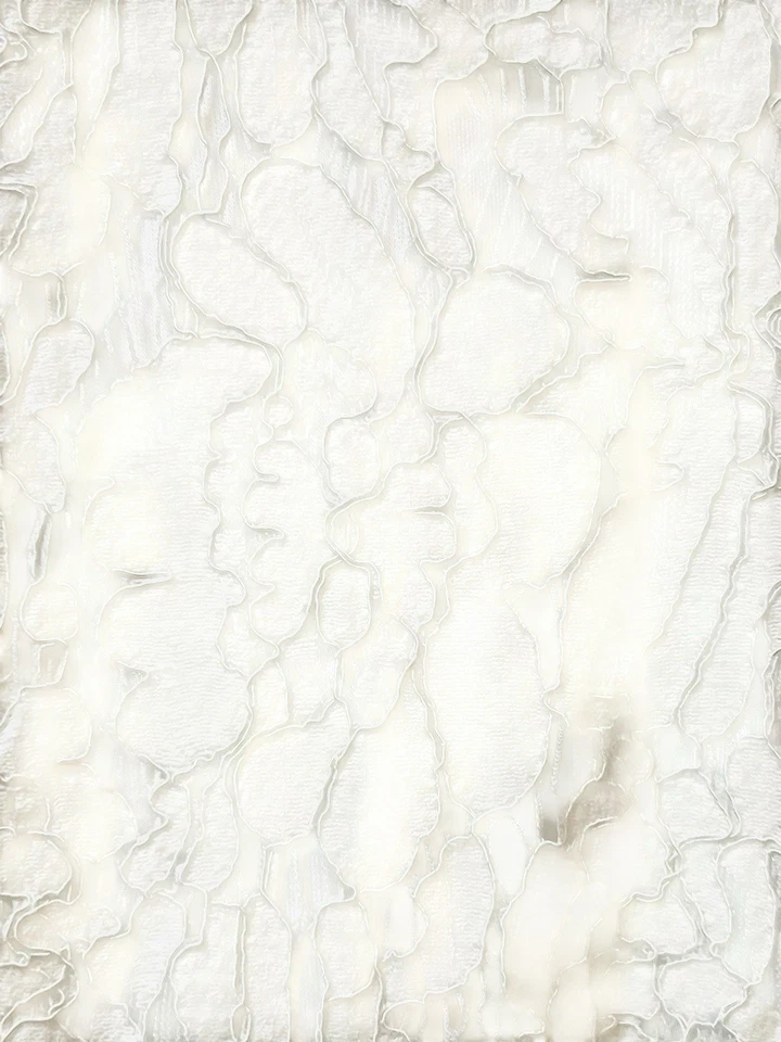 Isaac Mizrahi живой женщин Midi платье белый цветочный кружевной оверлей без рукавов размер S - Изображение 3 из 4