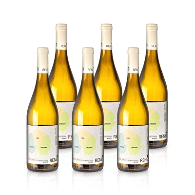 2019 Renee Bianco Weißwein trocken 6x - Nicola Leo Paolo Leo Apulien Italien