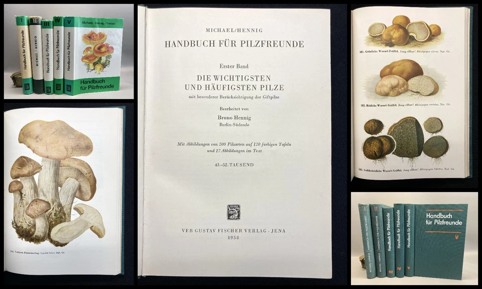 Michael, Edmund Hennig, Bruno u. Kreisel Hanns Handbuch für Pilzfreunde. Bd. 1-6 - Bild 1 von 4