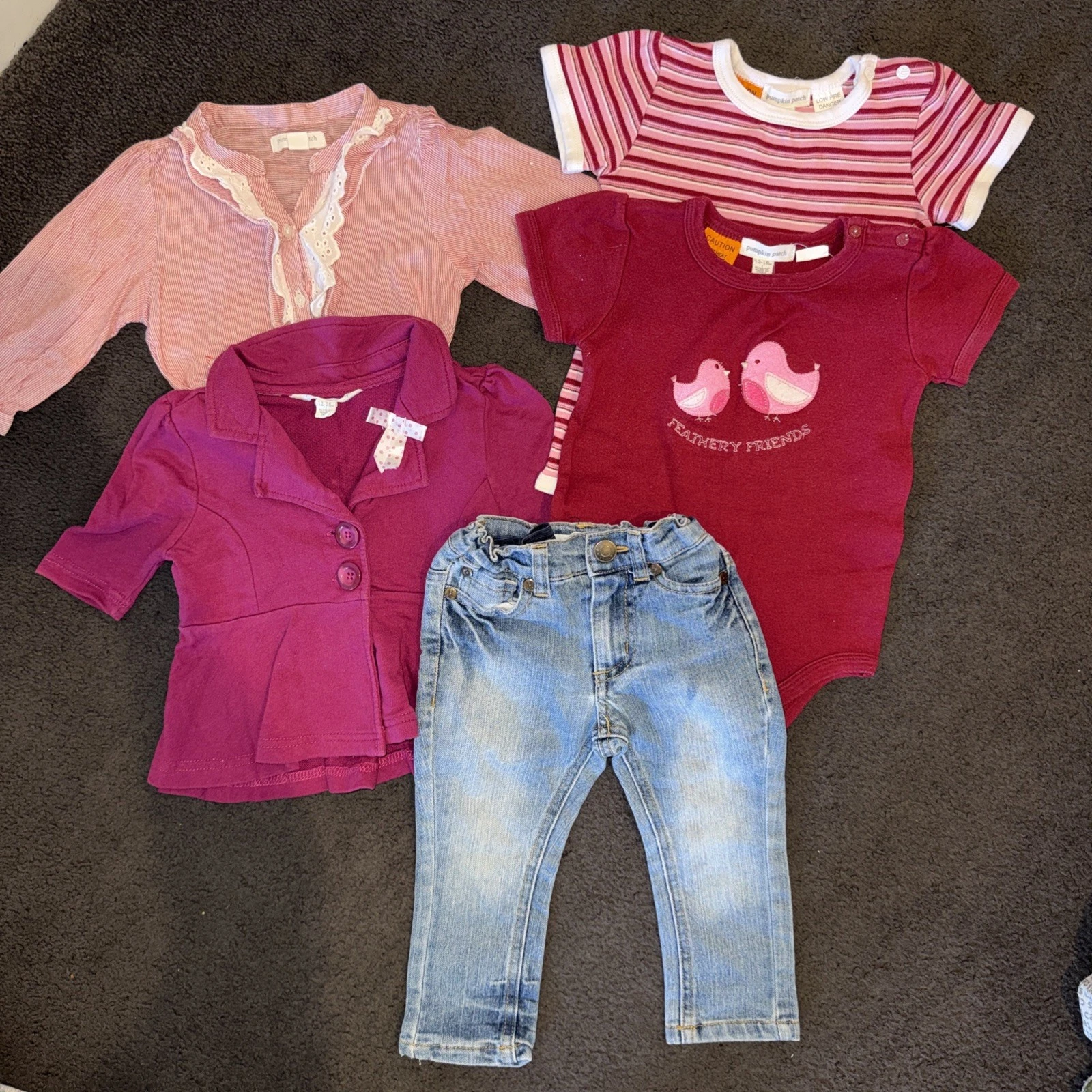 PUMPKIN PATCH X 5 Clothes Bundle Baby Girl Toddler Jeans Bodysuit T-shirt Size 1
Opens in a new wind
