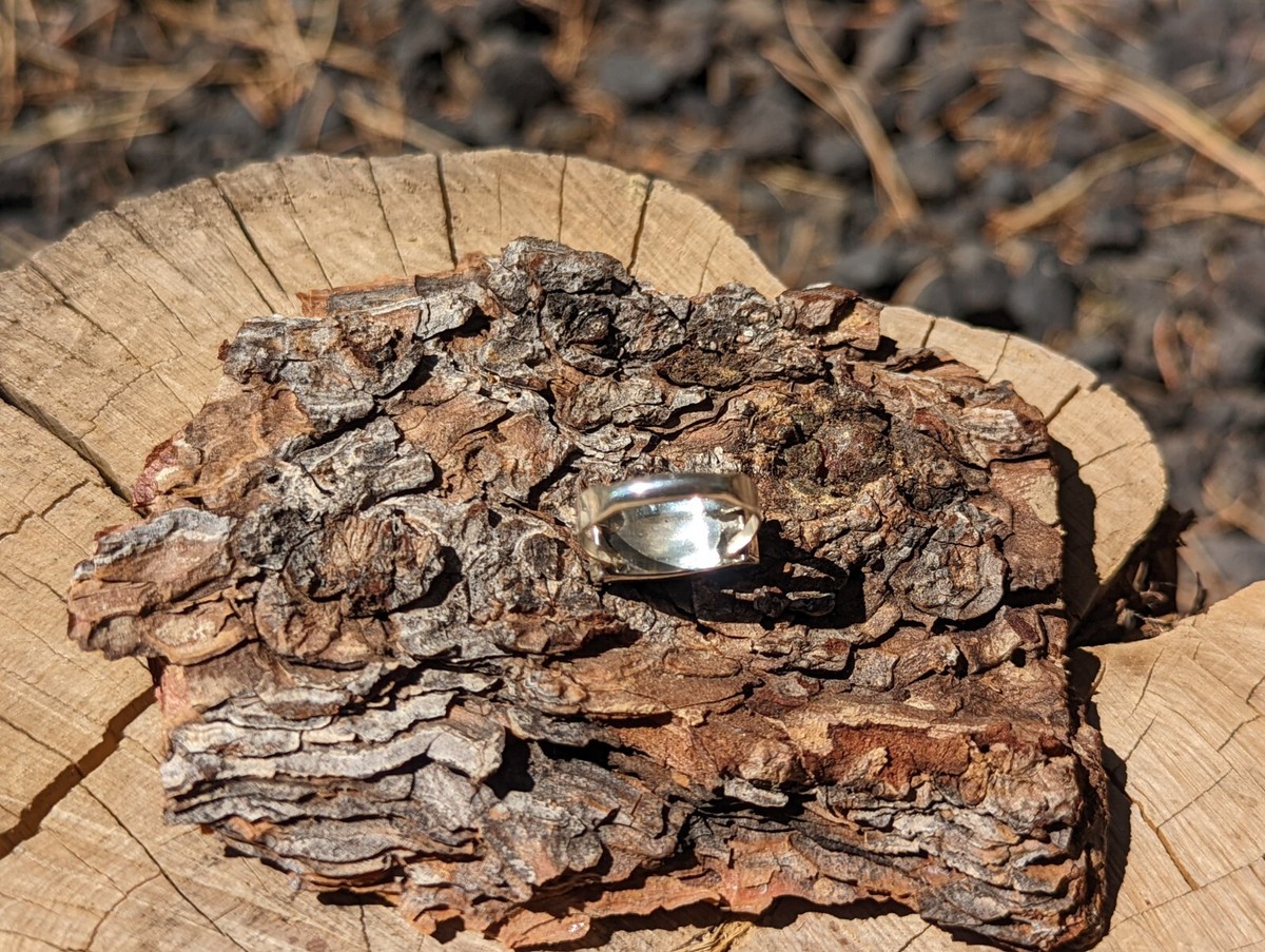 アート・デザイン・音楽 Southwestern Indian Rings