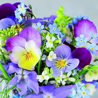 20 Servietten Violets & Forget Me Not Stiefmütterchen Vergissmeinnicht 33x33cm