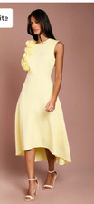 occasion dress with facinater lemon