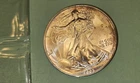 1993 WALKING LIBERTY AMERICAN EAGLE .999 1oz. FINE SILVER DOLLAR COIN in sleeve