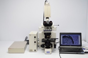 Hamamatsu ORCA-285G Monochrome CCD Digital Microscope Camera 1344x1024