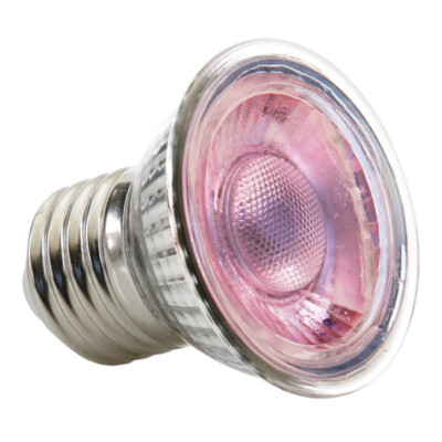 Exo Terra Daylight LED Spot Nano