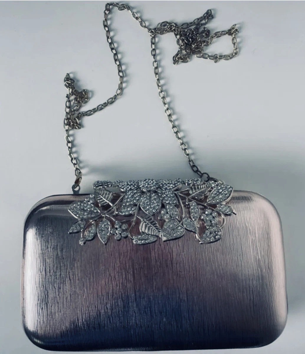 Silver clutch outlet with chain