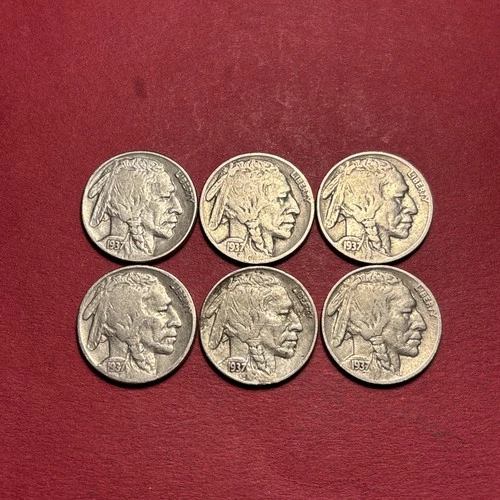 Lot Of (6) Vintage ALL 1937-P Buffalo/Indian Head Nickels ALL FINE-VERY FINE