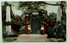 Vintage Washington's Tomb Mount Vernon Divided Back Postcard 1907-1915