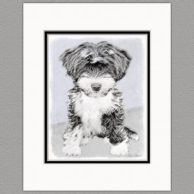 Tibetan Terrier Puppy Dog Original Art Print 8x10 Matted to 11x14