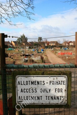 Photo 6x4 Long Eaton Allotments Also the subject of the ''first'' c2010