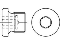 10 X VerschlußSchraube Din 908-5.8 M 30X1,5 Galvanisch Verzinkt VE10, Cab Fasten