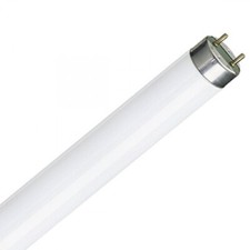Philips 18W T8 Fluorescent Tube 2ft 590mm x 26mm White 3500K