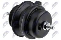 Nty Lagerung, Motor ZPS-NS-162 FüR Infiniti