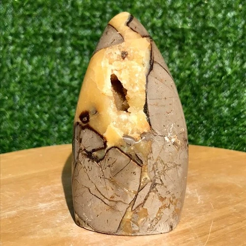510G Natural Turtleback Stone Crystal Mineral Specimen Energy Healing Reiki