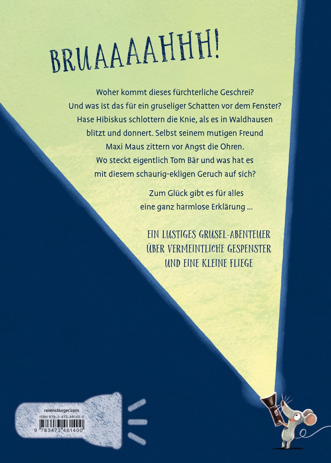 Thumbnail - Andreas König | Hase Hibiskus Und Das Grausige Gruseln | Buch |