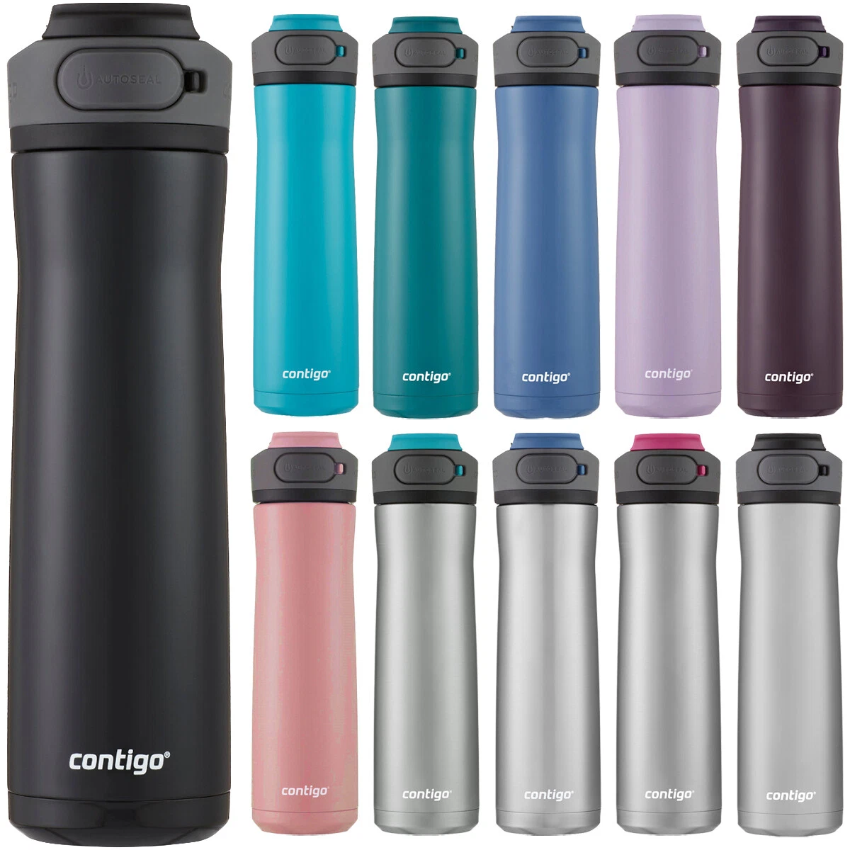 Contigo Cortland Chill 24 oz Silver and Blue Solid Print Stainless Steel  Water Bottle with Flip-Top Lid 