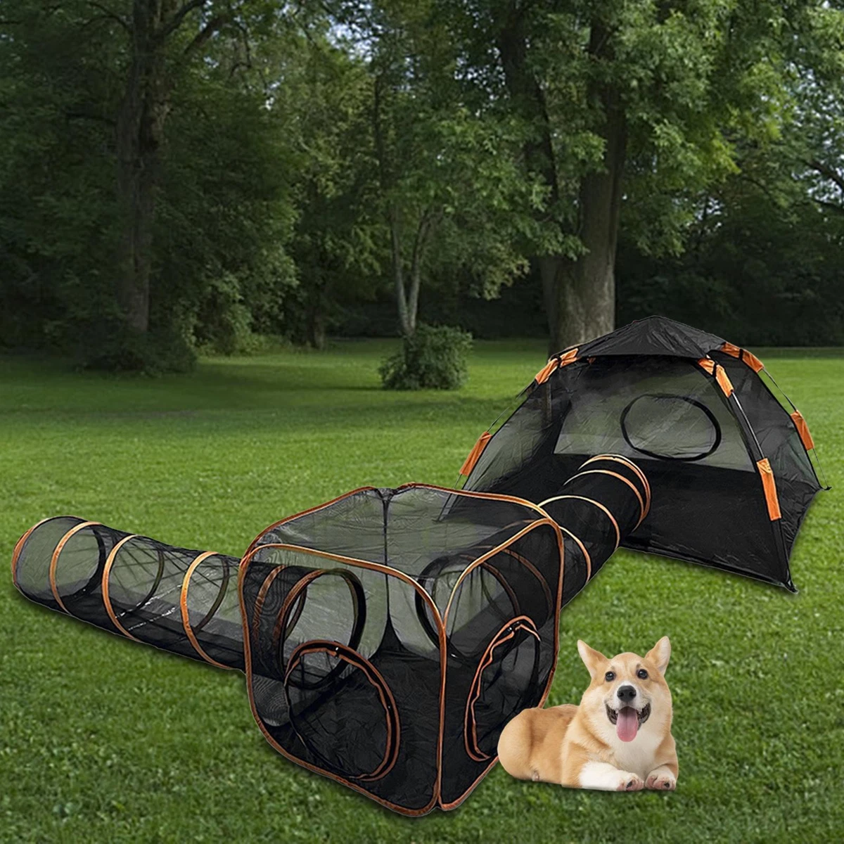 Dog top play tent