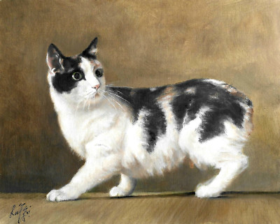   ORIGINAL Oil Portrait Painting MANX Artist Signed Artwork Black White Cat Art