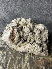 Missouri Natural Fossilized Coral Stone with Some Druzy Quartz and Moss