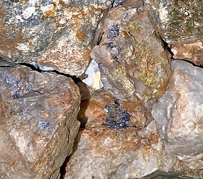 10 LBS MINERAL RICH GOLD ORE LOADED WITH SULPHIDES TELLURIDES FROM NORCAL MINE