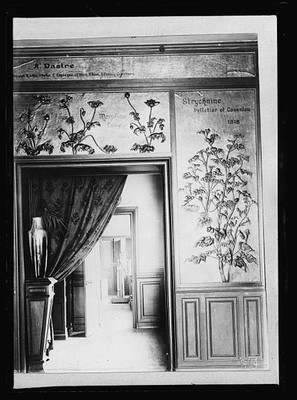 Paris France 1918 Murals Morphine Ludwig Strychnine Pelletier Caventou