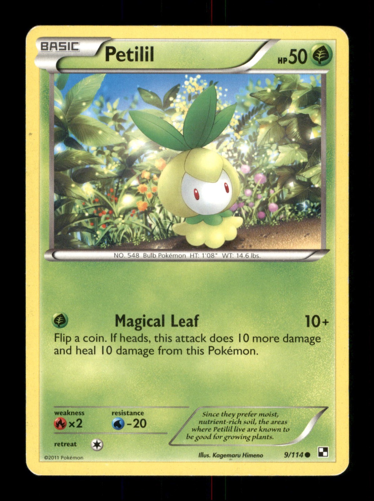 Petilil 9/114 Non-Holo Nintendo  Pokemon Trading Card TCG 