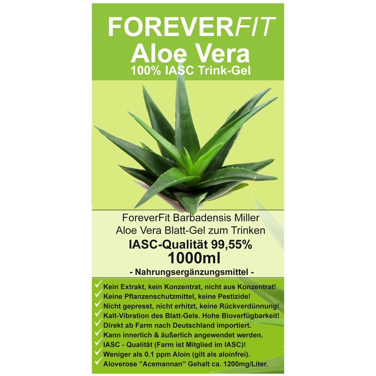 full grown aloe vera plant 3-5ft Aloe Vera main image 0