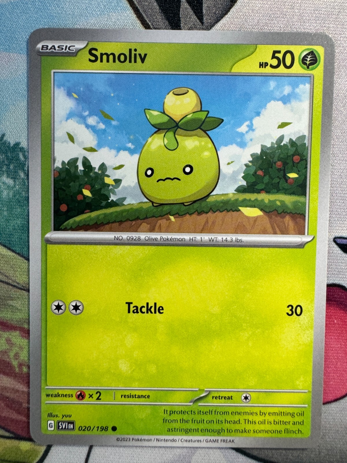 smoliv Non Holo English Pokemon TCG BKA657