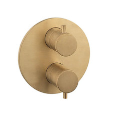 Crosswater MPRO Industrial Unlacquered Brass Crossbox 1 Outlet Shower Trim Set.