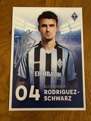 Alexander Rodrigues-Schwarz - SV Waldhof Mannheim 2016/17 16-17